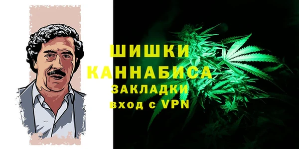 шишки Богданович