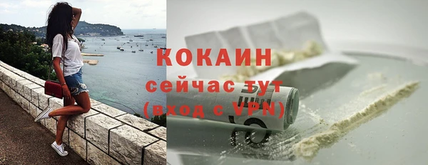 дмт Богородицк