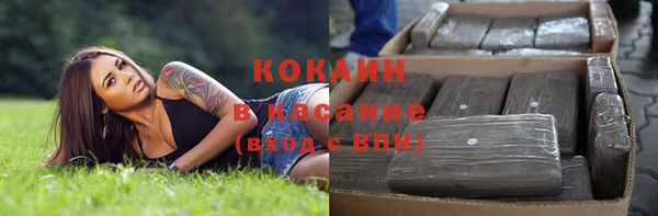 шишки Богданович