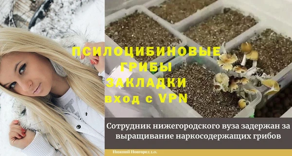 синтетический гашиш Богородск