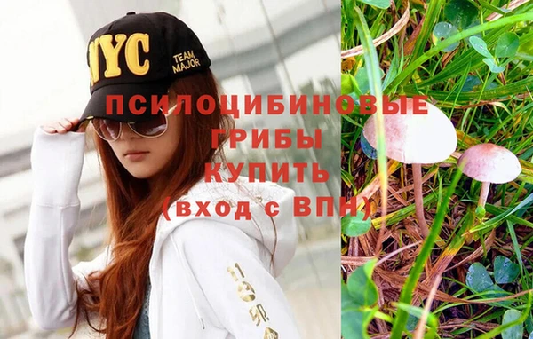 шишки Богданович