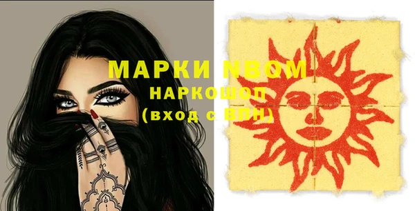дмт Богородицк