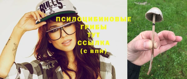 шишки Богданович