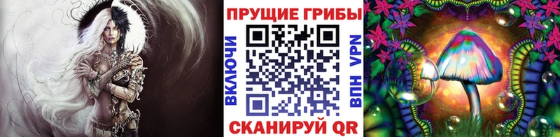 МЕГА ссылки цена Шилка Галлюциногенные грибы Psilocybe